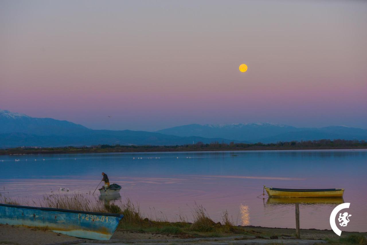 "Mer" Sejour Detente Tout Confort, Magnifique Vue Sur La Mer Canet-en-Roussillon Εξωτερικό φωτογραφία